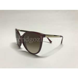 GIORGIO ARMANI AR 8070 5446/13