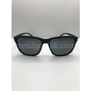 ARNETTE AN 4255 01/81