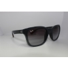 Ray-Ban RB4197 6006/8G