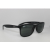 Ray-Ban RB4202 6069/71
