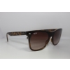 Ray-Ban RB4440N 710/13